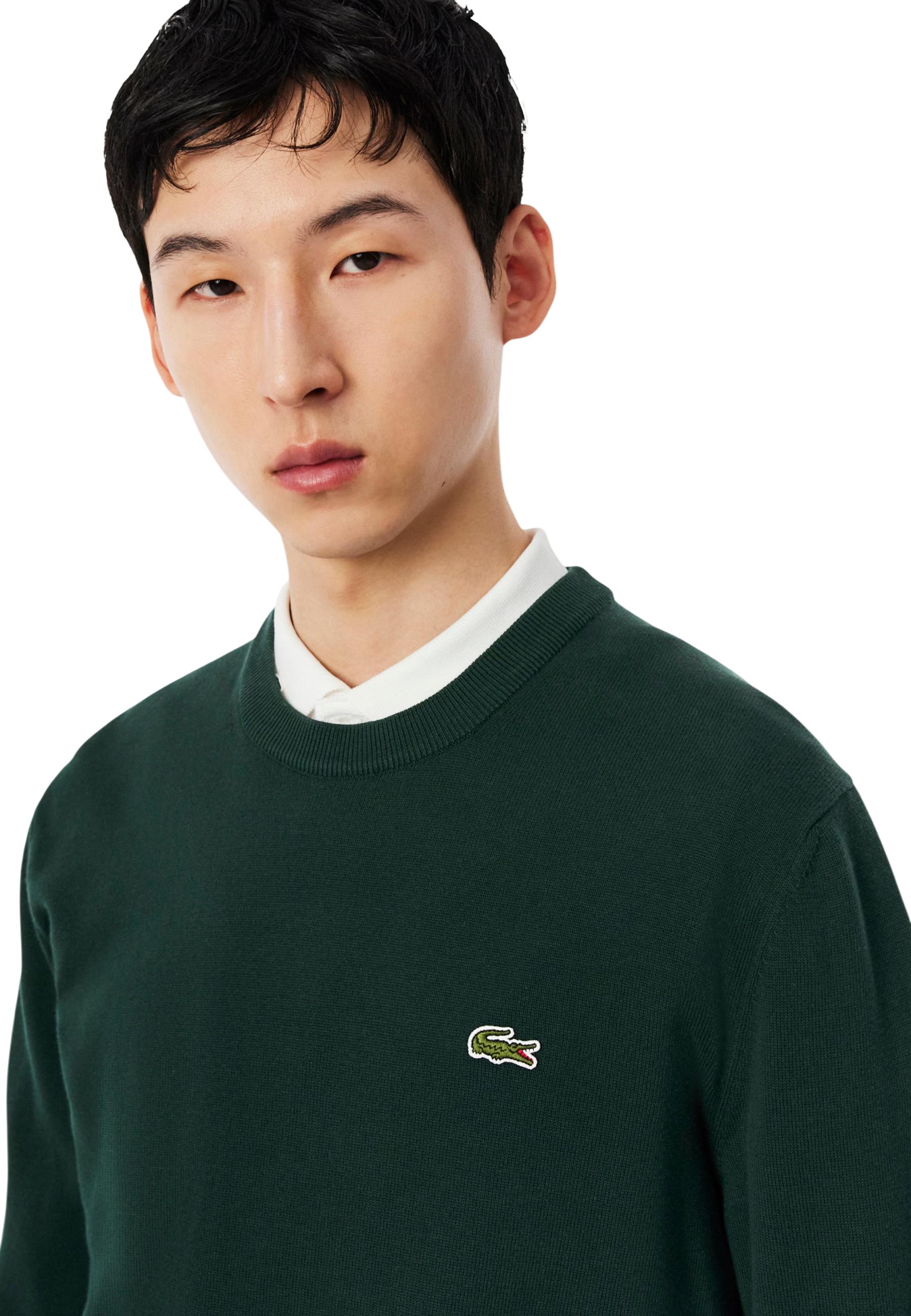 Lacoste Pull homme — green