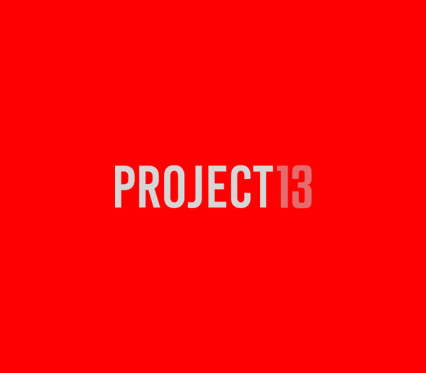 PROJECT 13