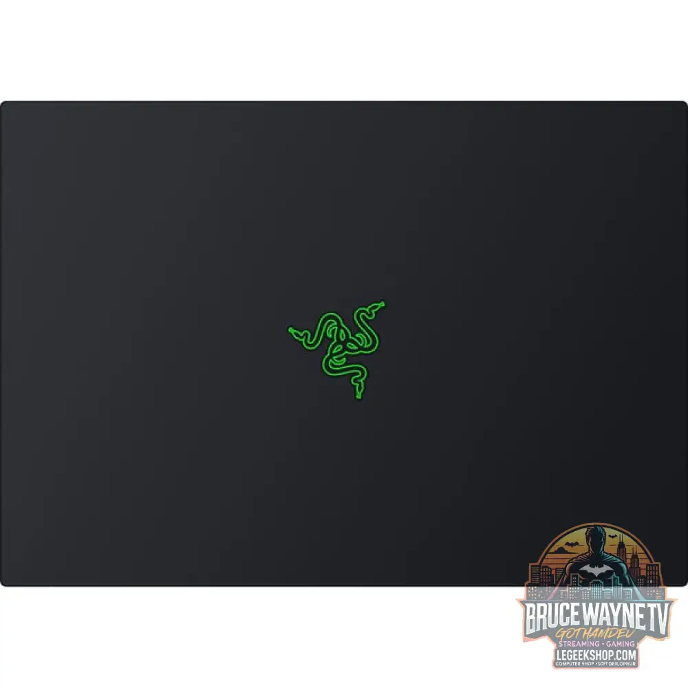 Razer Blade 16 (RZ09-05819GN4-R3G1), Gaming-Notebook - vue 9