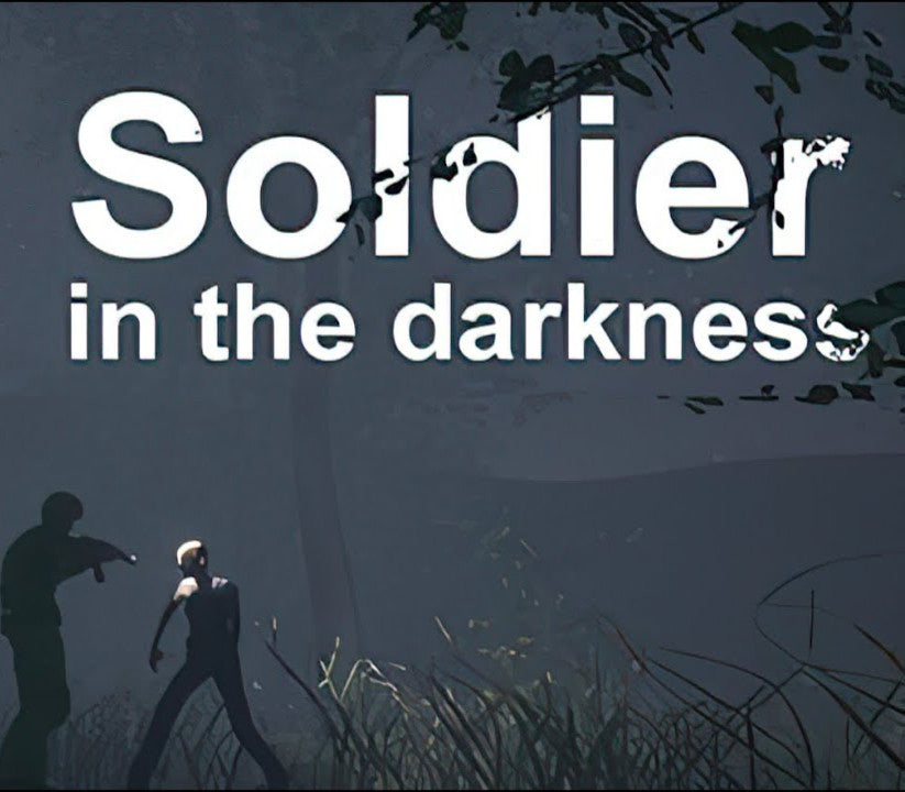 Soldier in the darkness